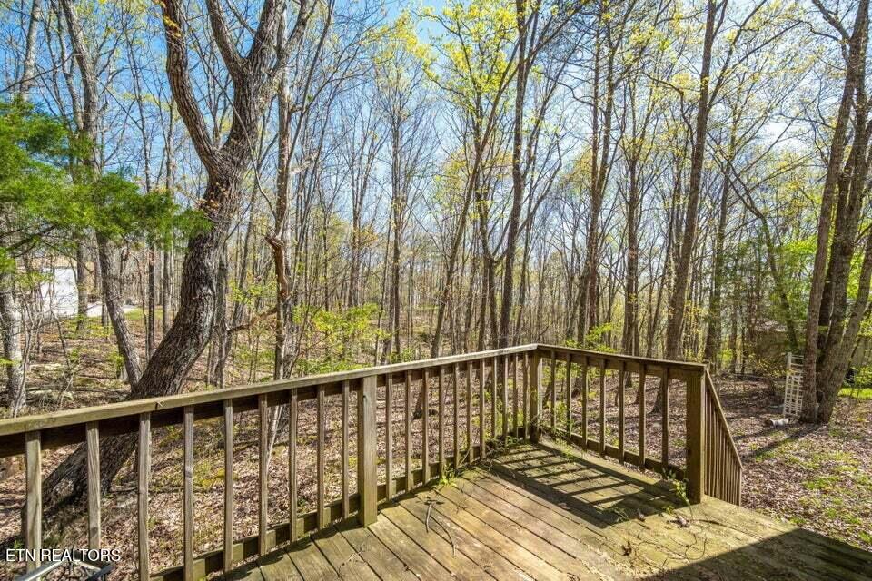 264 Harlee Vista Road Pikeville, TN 37367 - Photo 37 of 44 37