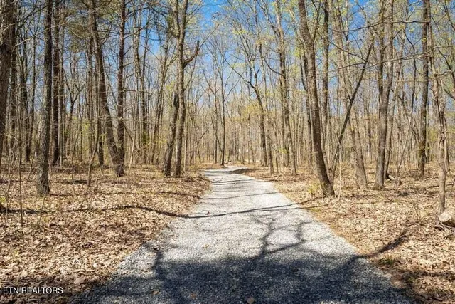 $595,000 | 264 Harlee Vista Road, Pikeville, TN 37367