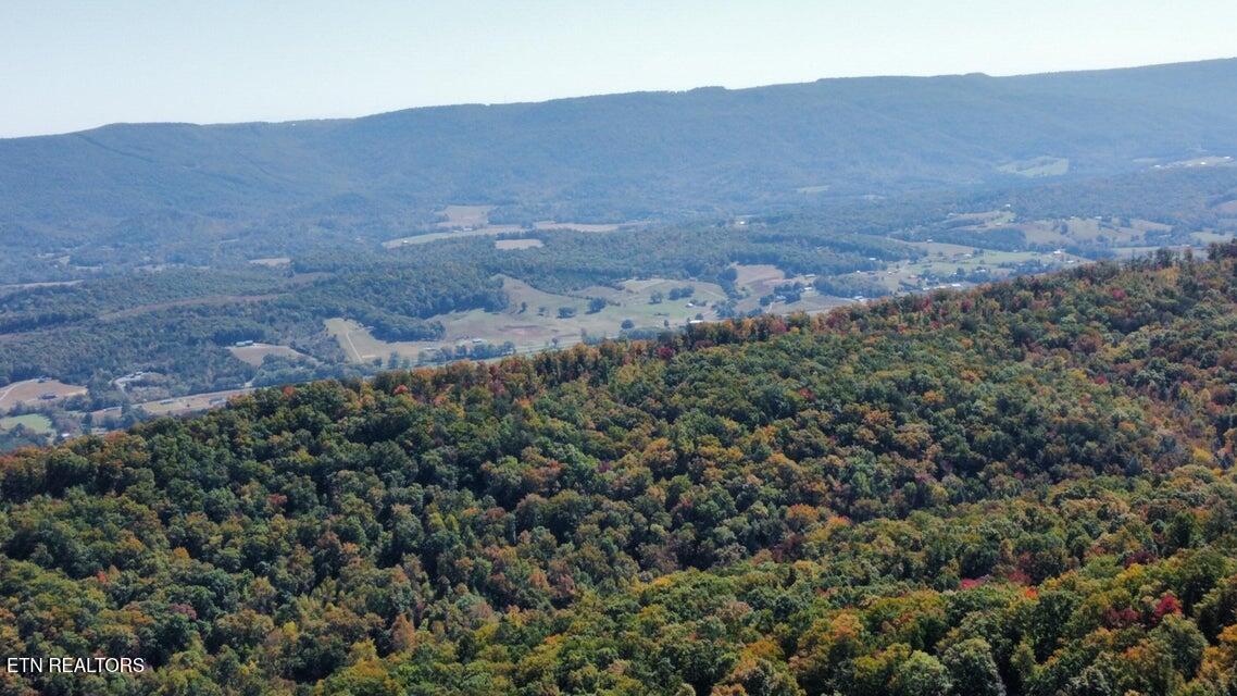 264 Harlee Vista Road Pikeville, TN 37367 - Photo 42 of 44 42