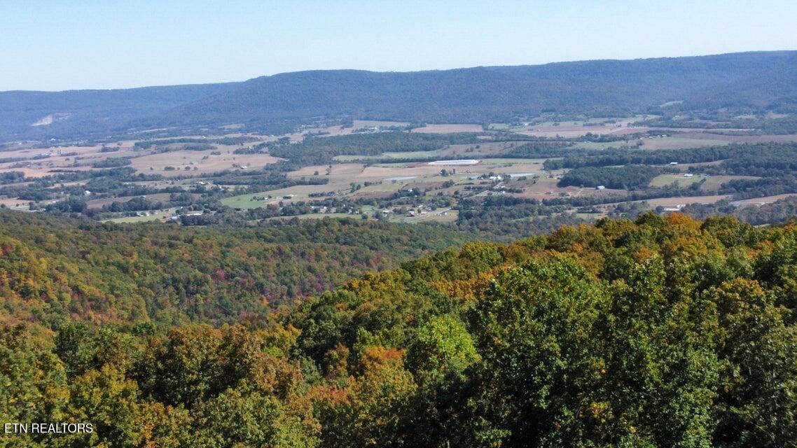 264 Harlee Vista Road Pikeville, TN 37367 - Photo 43 of 44 43