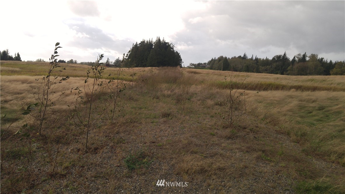 1 Olson Road Ferndale, WA 98248 - Photo 3 of 3