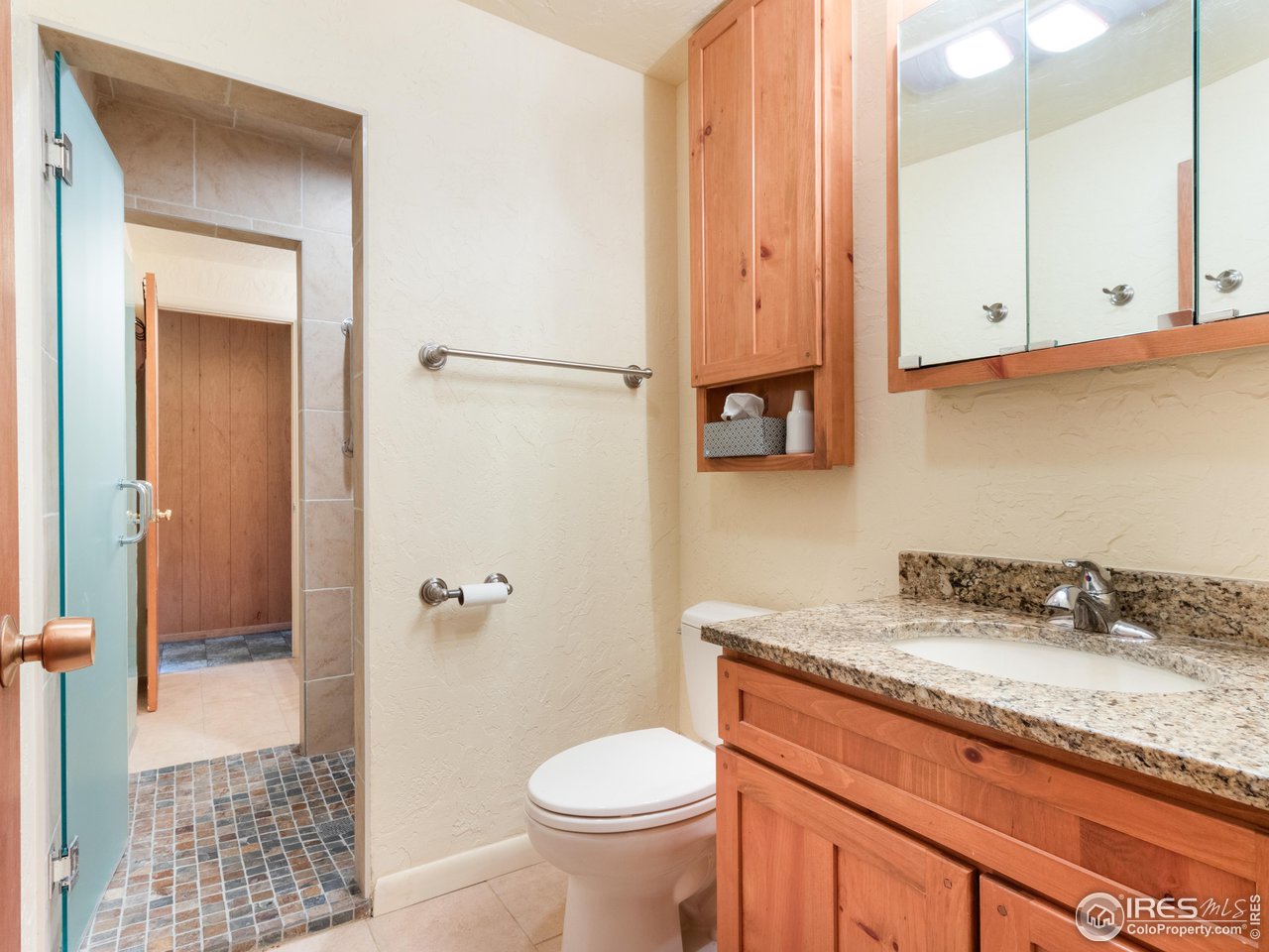 702 Riverside Drive Lyons, CO 80540 - Photo 12 of 19 a bathroom with a granite countertop sink toilet and shower