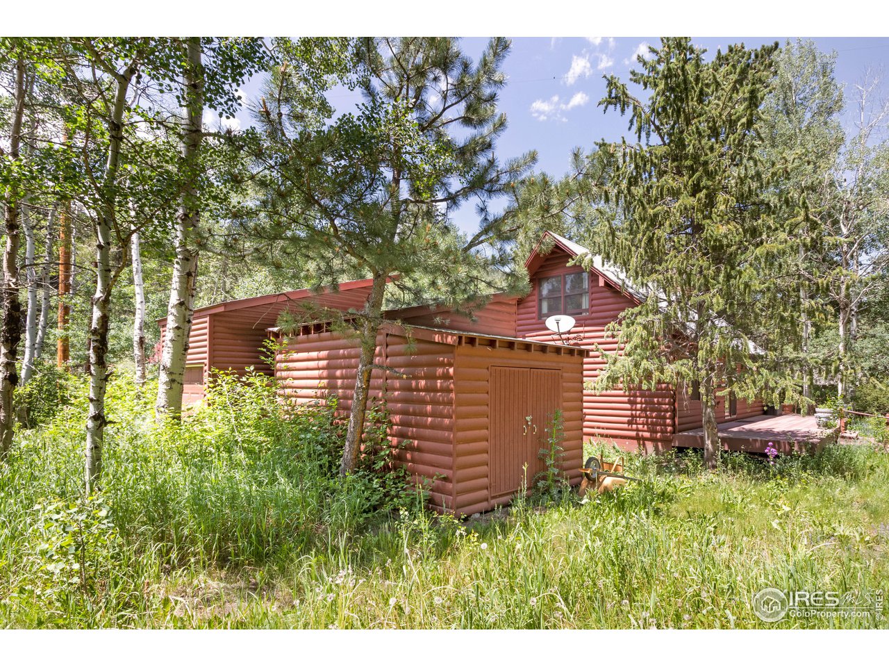 702 Riverside Drive Lyons, CO 80540 - Photo 15 of 19 a backyard of a house with lots of green space