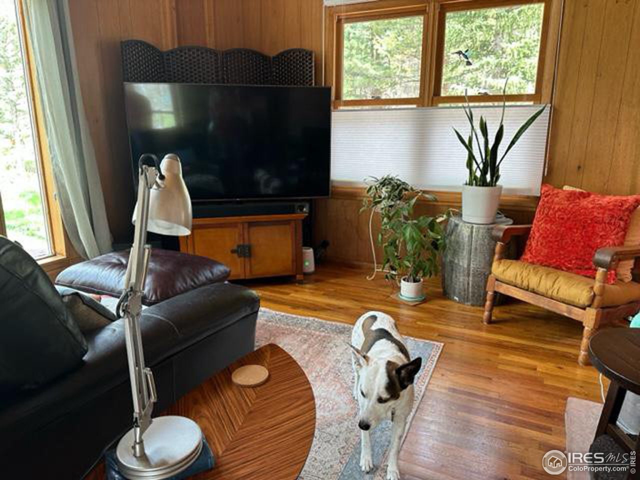 702 Riverside Drive Lyons, CO 80540 - Photo 3 of 19 a living room with furniture and a window