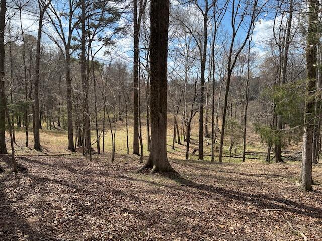 1684 Stagecoach Road Northeast Thomson, GA 30824 - Photo 11 of 12 IMG_7404