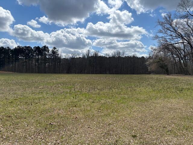 1684 Stagecoach Road Northeast Thomson, GA 30824 - Photo 3 of 12 IMG_7394