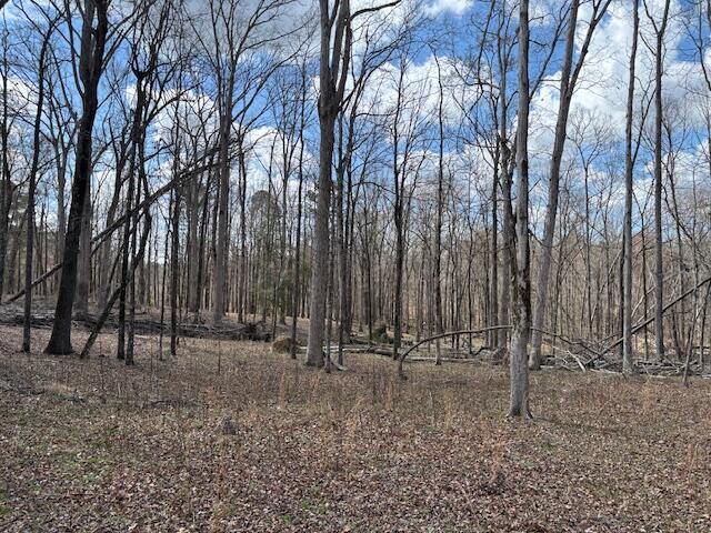 1684 Stagecoach Road Northeast Thomson, GA 30824 - Photo 5 of 12 IMG_7397