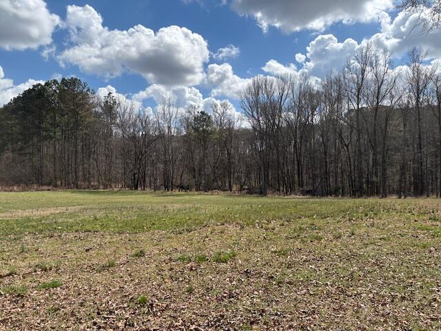 1684 Stagecoach Road Northeast Thomson, GA 30824 - Photo 10 of 12 IMG_7403