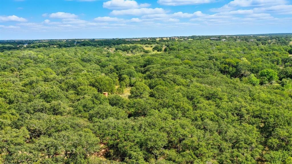 785 Jordan Road Poolville, TX 76487 - Photo 15 of 17 Bird's eye view of a heavily wooded area