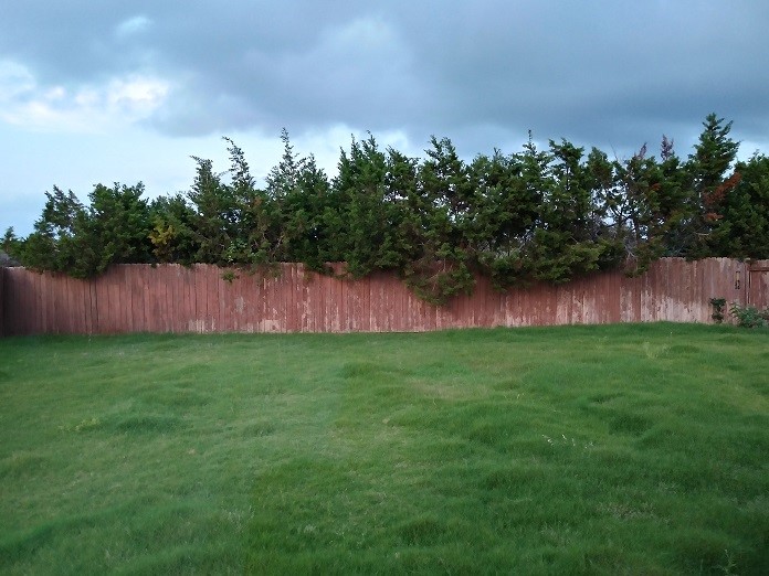 348 Stone View Trail Austin, TX 78737 - Photo 22 of 26 Lovely yard with green space and trees behind - no back neighbors!