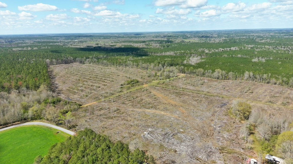 2897 Melvin Mason Road Southeast Brookhaven, MS 39601 - Photo 3 of 7 Photo 3