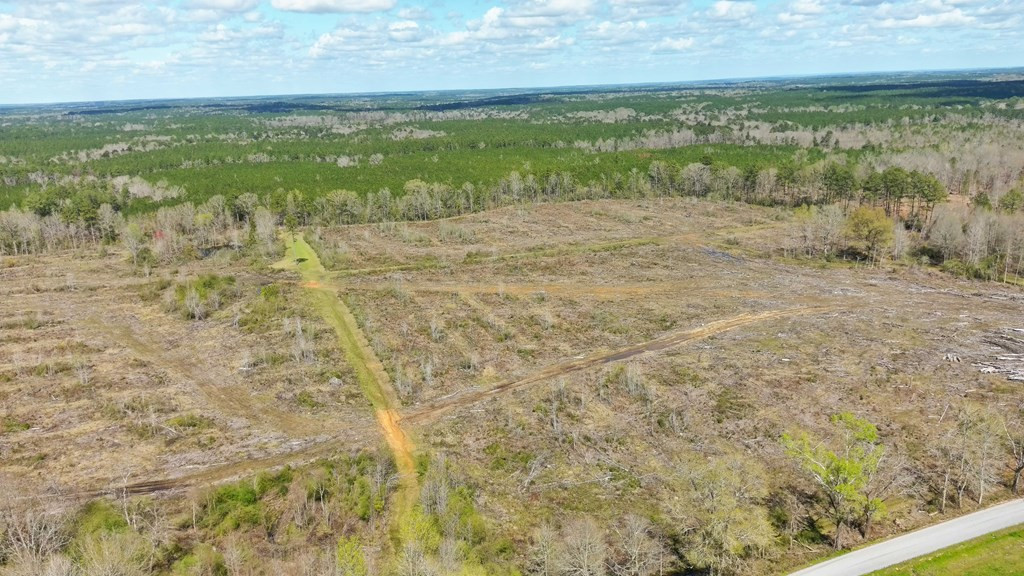 2897 Melvin Mason Road Southeast Brookhaven, MS 39601 - Photo 4 of 7 Photo 4