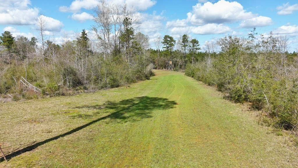 2897 Melvin Mason Road Southeast Brookhaven, MS 39601 - Photo 5 of 7 Photo 5