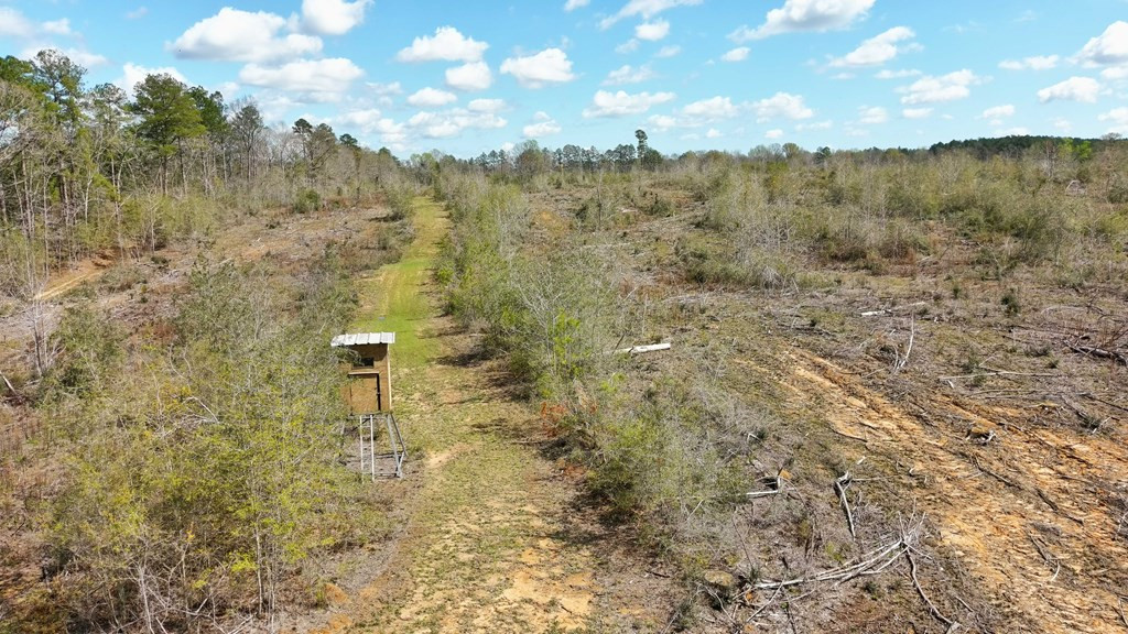 2897 Melvin Mason Road Southeast Brookhaven, MS 39601 - Photo 6 of 7 Photo 6