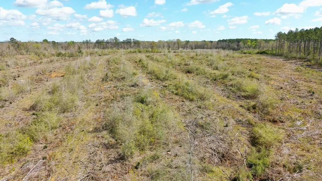 2897 Melvin Mason Road Southeast Brookhaven, MS 39601 - Photo 7 of 7 Photo 7