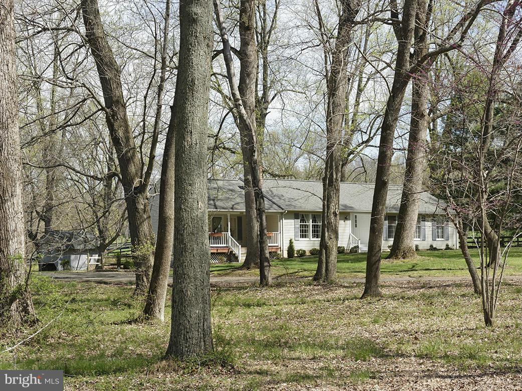 3668 Prince Road Marshall, VA 20115 - Photo 22 of 30 View from the street through mature trees