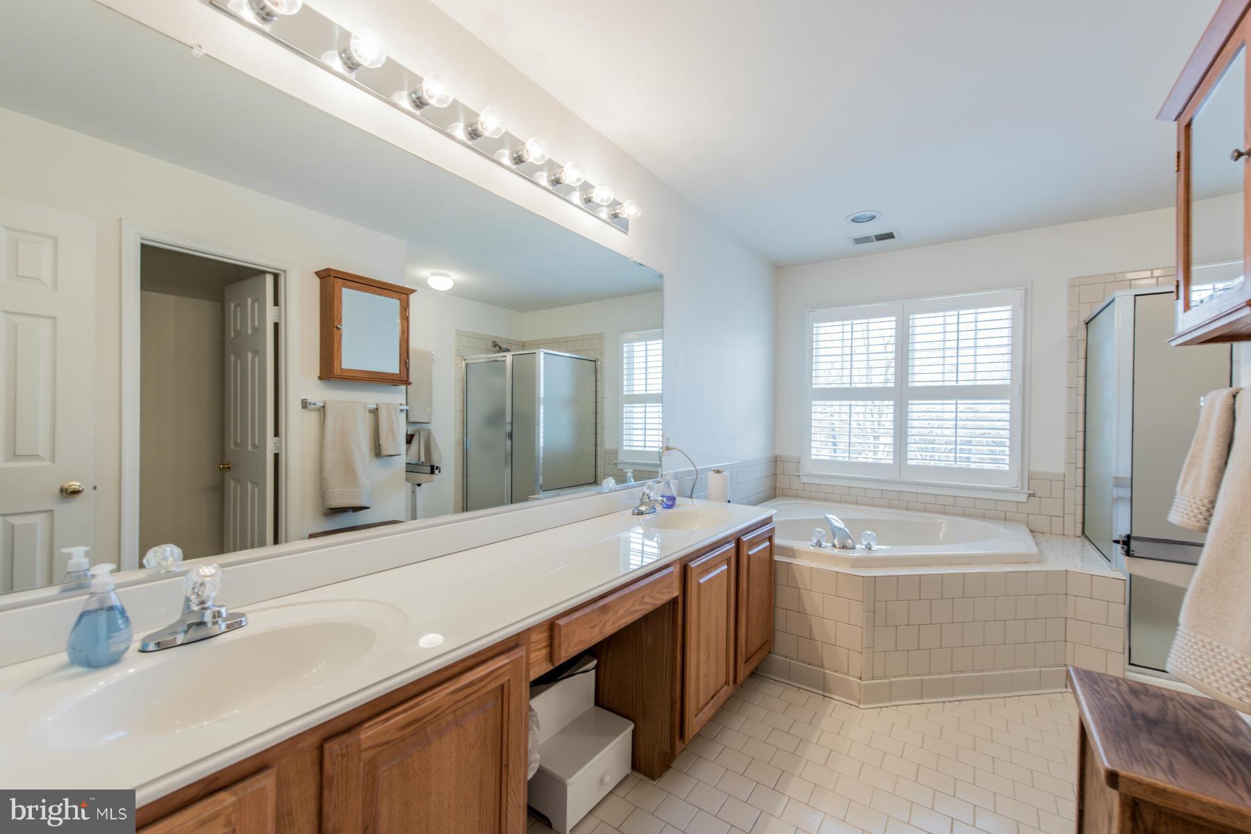 6400 Reedy Song Knoll Clarksville, MD 21029 - Photo 22 of 30 Bath (Master)
