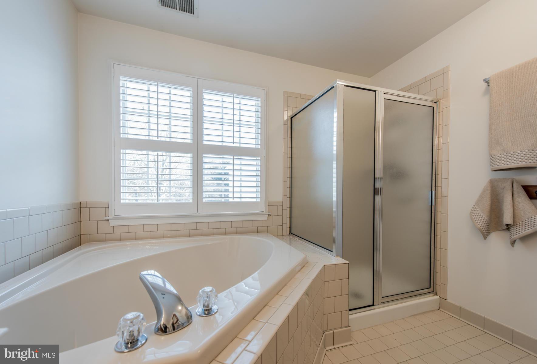 6400 Reedy Song Knoll Clarksville, MD 21029 - Photo 23 of 30 Bath (Master)