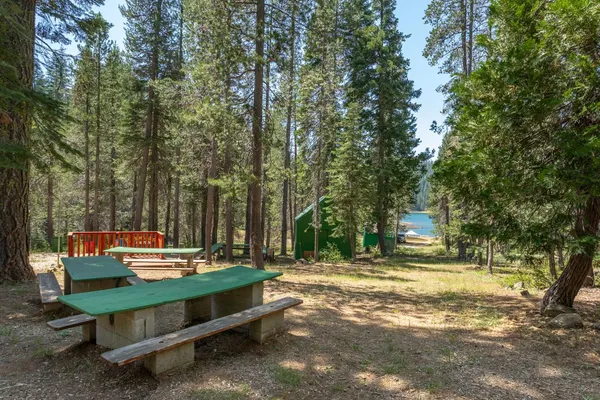 a outdoor view with a bench and trees