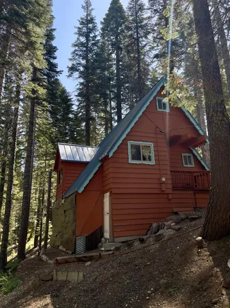 a view of a small house with yard and covered with trees
