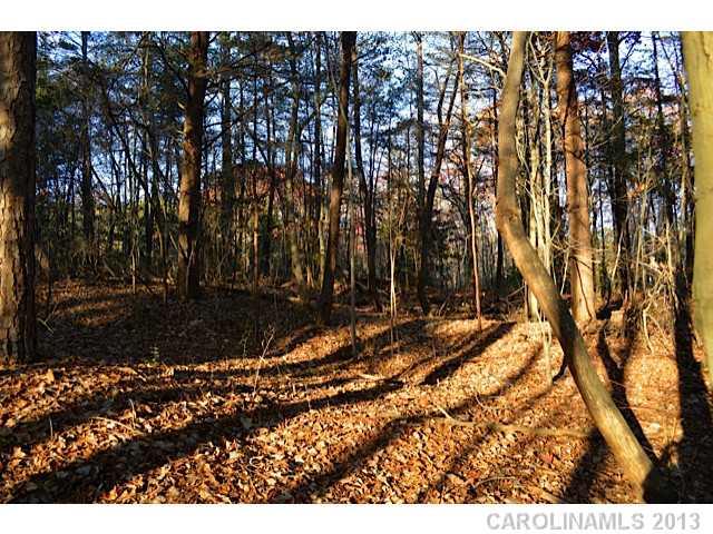 # Sherrills Ford Road Terrell, NC 28682 - Photo 4 of 6 Gallery Image 4