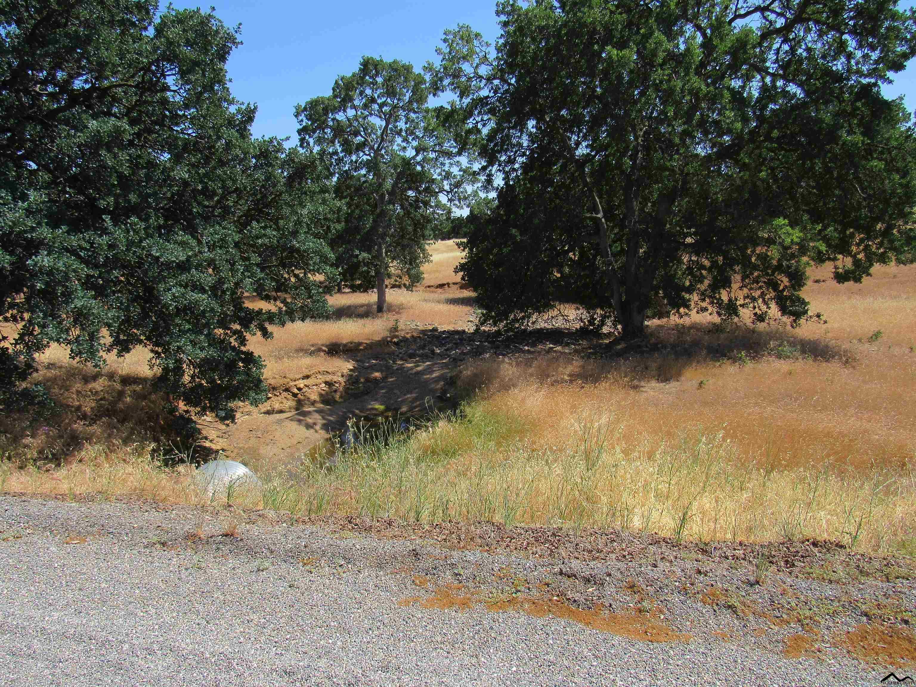 Janine Way Corning, CA 96021 - Photo 4 of 13 a view of a yard with a tree