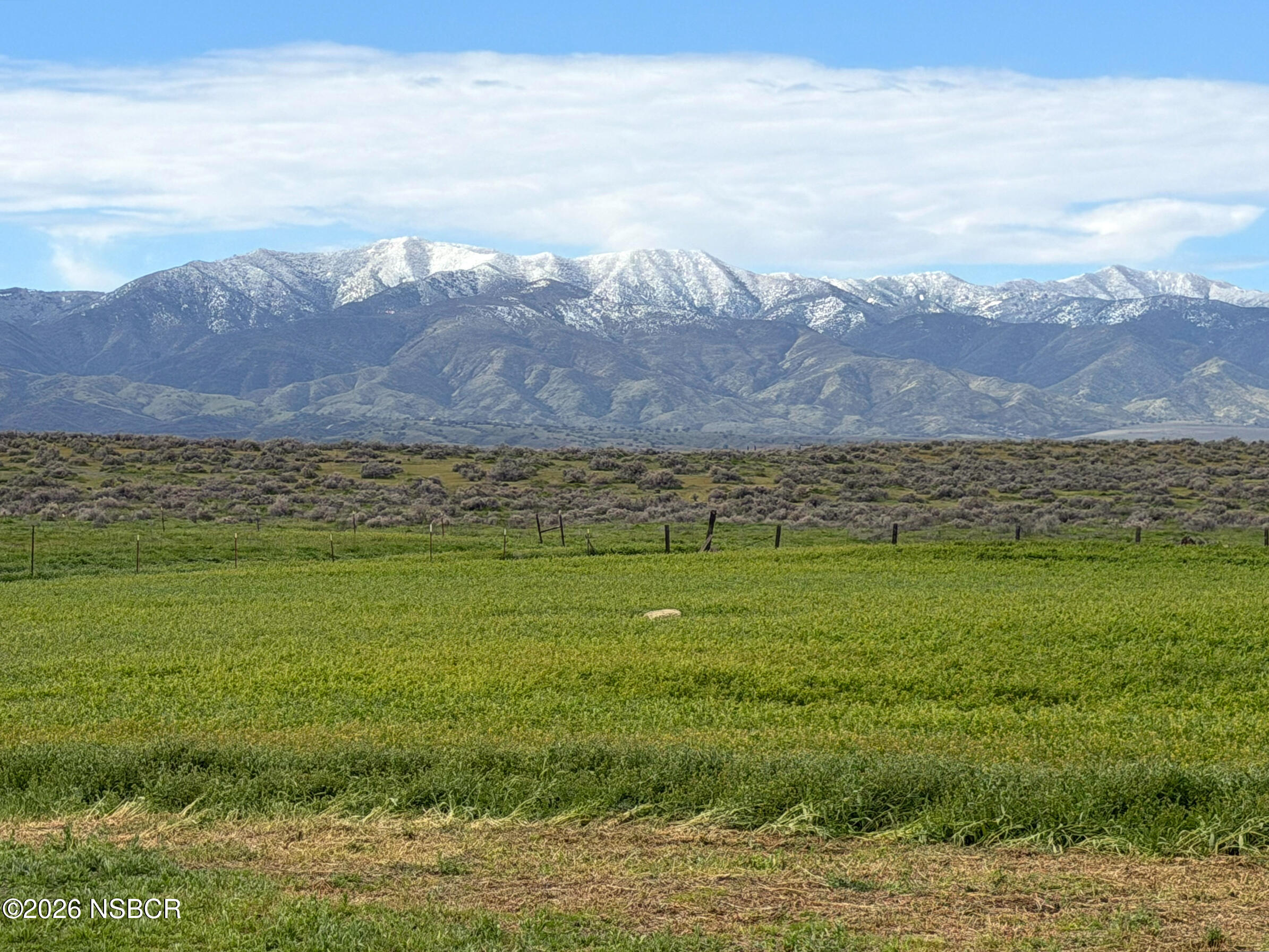 processed-A05455E9-1E25-4B73-96B1-C0ECB3