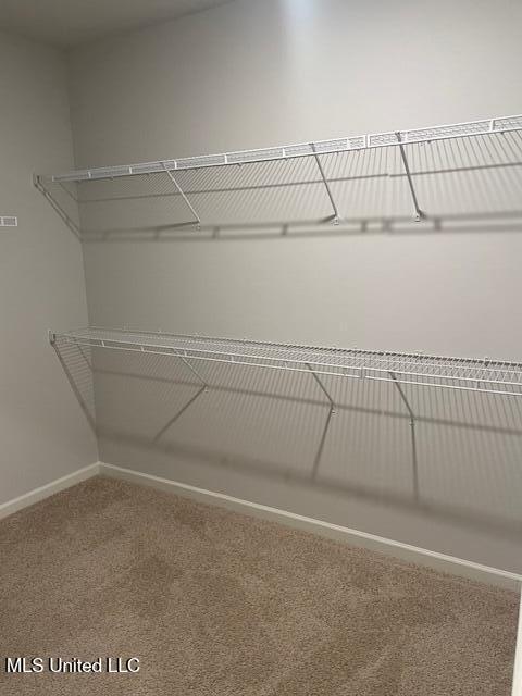 2214 Hyacinth Lane Hernando, MS 38632 - Photo 20 of 22 IMG_4442