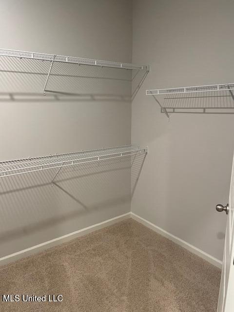 2214 Hyacinth Lane Hernando, MS 38632 - Photo 21 of 22 IMG_4443