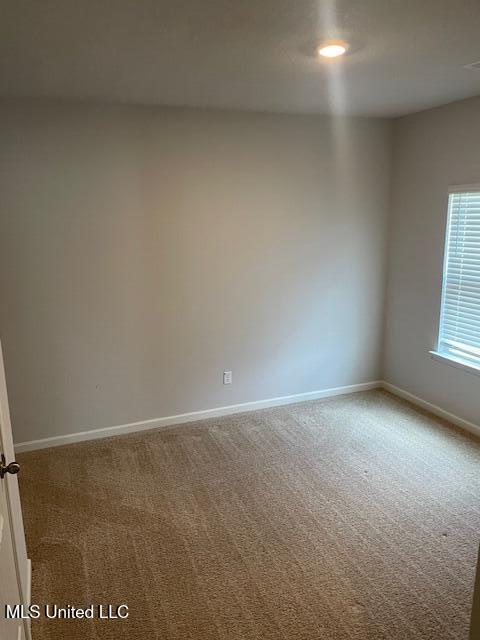 2214 Hyacinth Lane Hernando, MS 38632 - Photo 8 of 22 IMG_4430