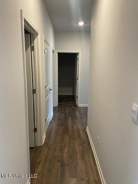 2214 Hyacinth Lane Hernando, MS 38632 - Photo 10 of 22 IMG_4432