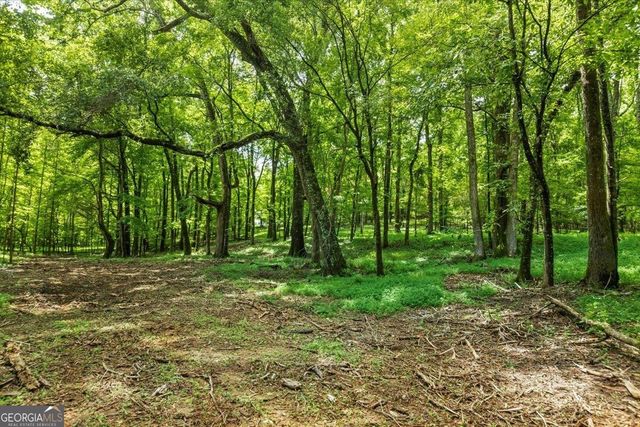 a big yard with lots of green space and house in the back