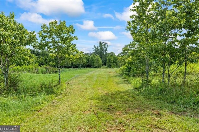 a view of a field with a tree