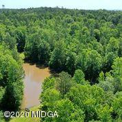 4271 Upper River Road Gray, GA 31032 - Photo 35 of 40 a view of a forest with a street