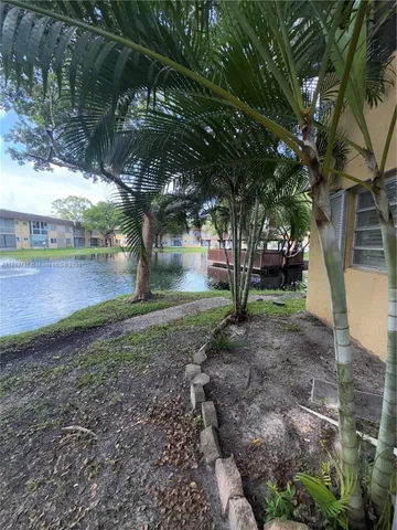 a view of a backyard with large trees and plants