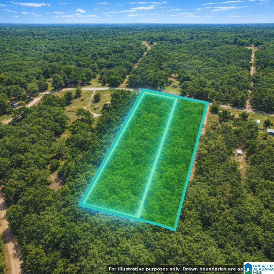 10415 Arden Road Chunchula, AL 36521 - Photo 3 of 10
