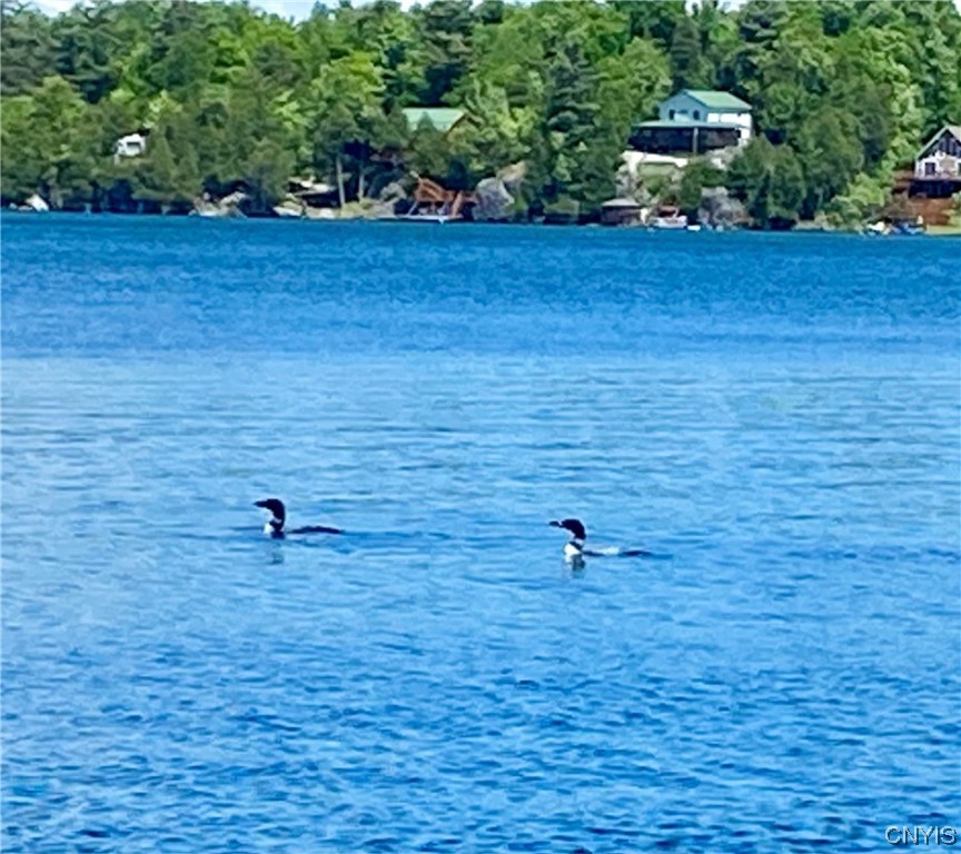 30 Mansion Grounds Road Fowler, NY 13642 - Photo 31 of 36