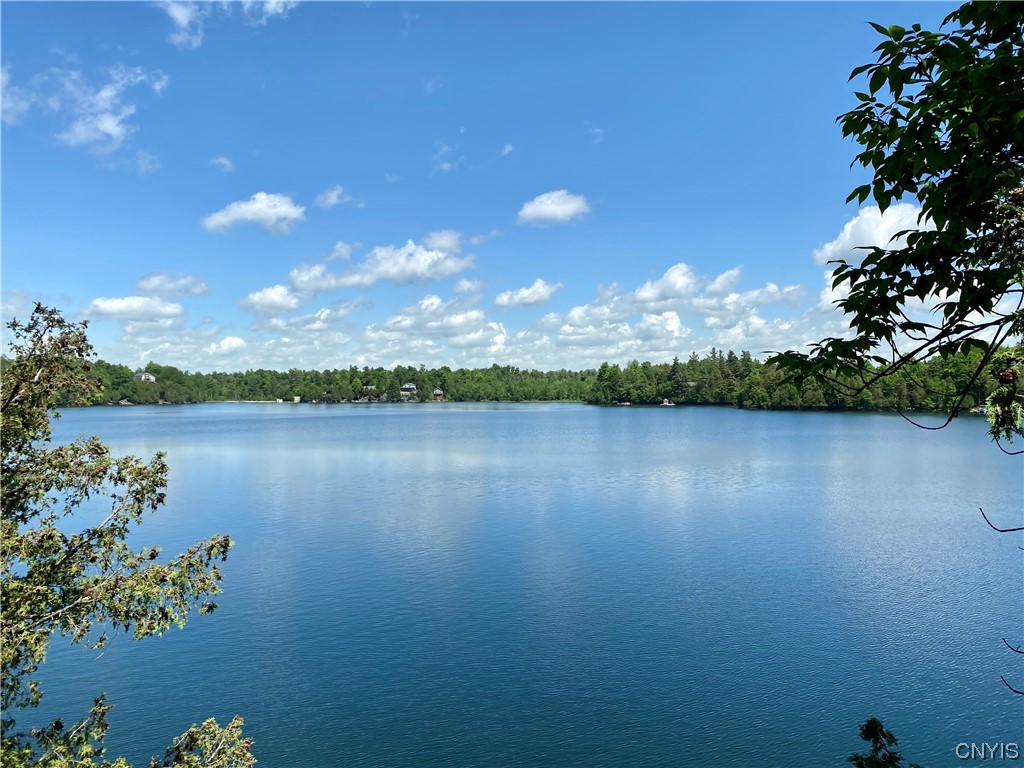 30 Mansion Grounds Road Fowler, NY 13642 - Photo 32 of 36