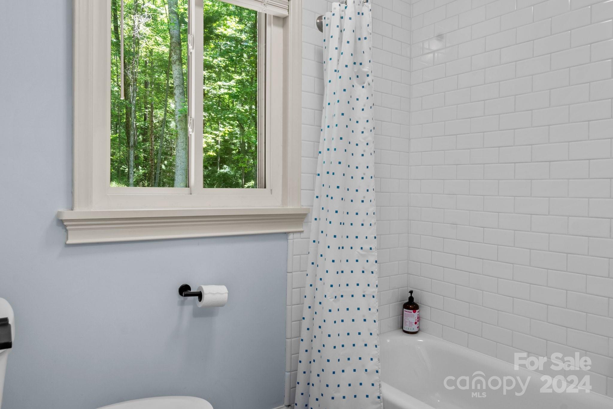 11 Brookside Road Asheville, NC 28803 - Photo 28 of 48 Gallery Image 28
