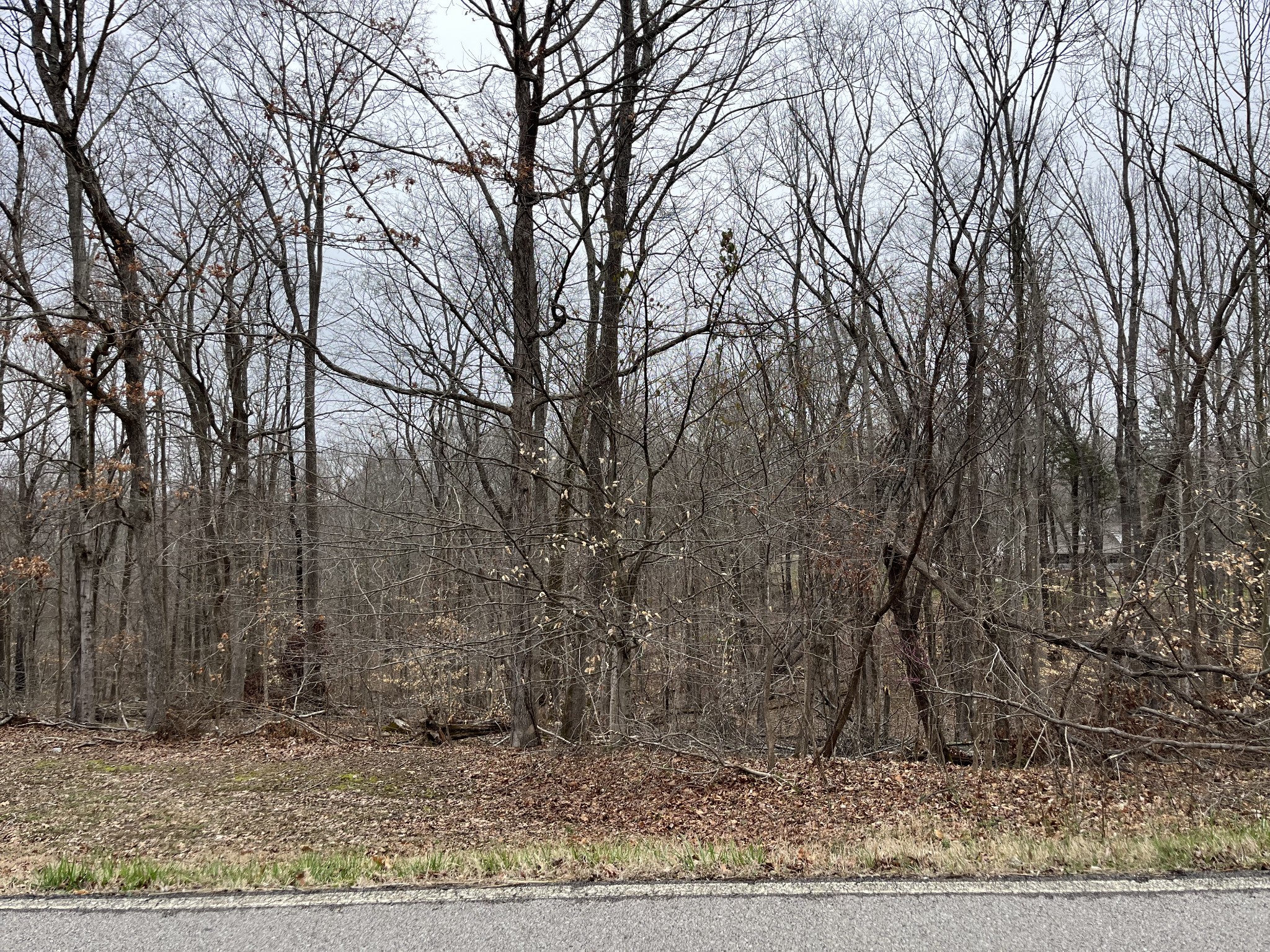 0 Ussery Road South Clarksville, TN 37040 - Photo 2 of 4 a backyard of a house with lots of green space