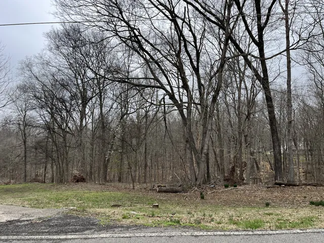 a view of a backyard of the house
