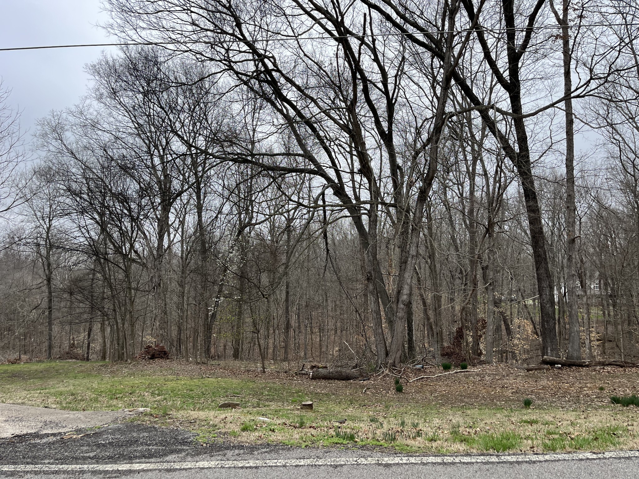 0 Ussery Road South Clarksville, TN 37040 - Photo 3 of 4 a view of a backyard of the house