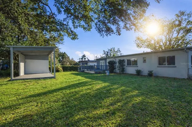 a view of a backyard with plants and a large tree