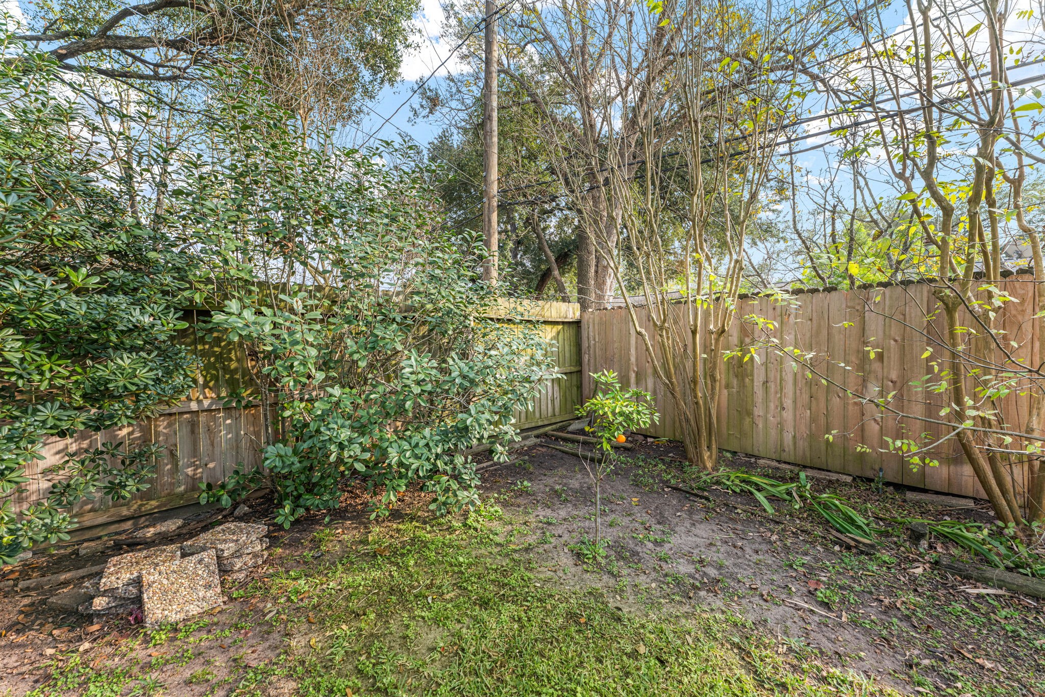 6019 Cartagena Street Houston, TX 77035 - Photo 28 of 29 a view of backyard with tree