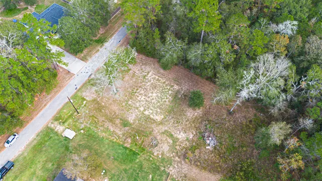 a view of a yard with plants