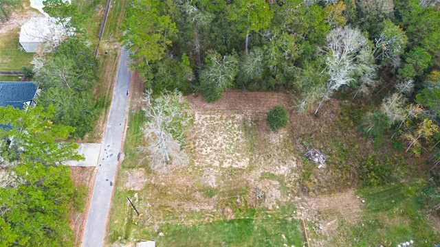 a view of a yard with plants and large trees
