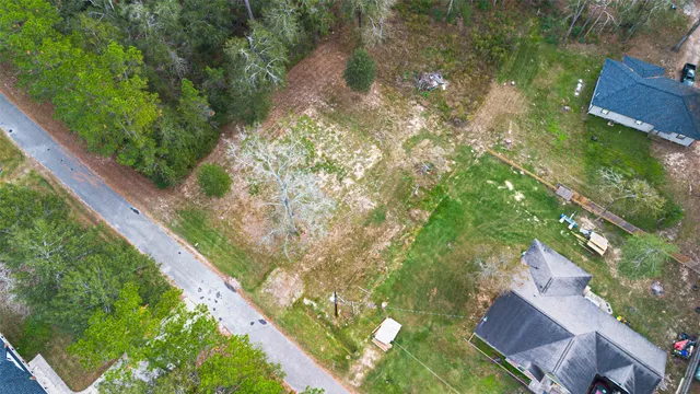 a yard with tall trees