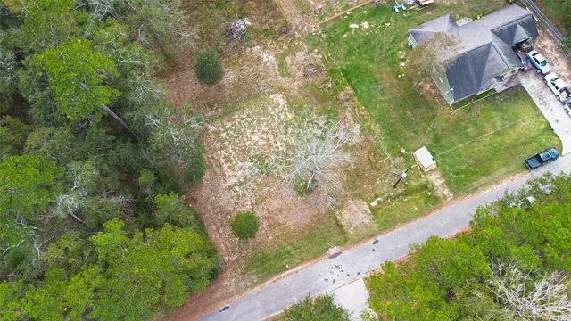 a picture of street view with large trees