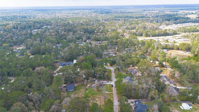 a view of a city with lush green forest