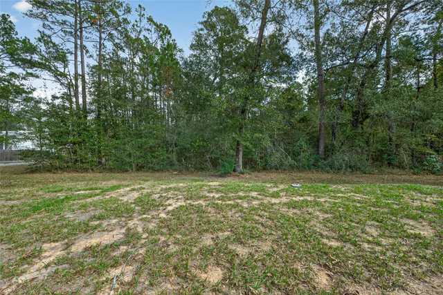 a view of a field with trees in the background